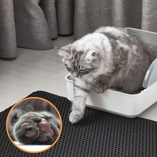 Cat Litter Trap Mat – Waterproof, Easy Clean, Double Layer Honeycomb (23x17”, Black)