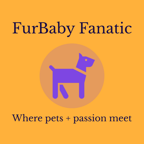 FurBaby Fanatic
