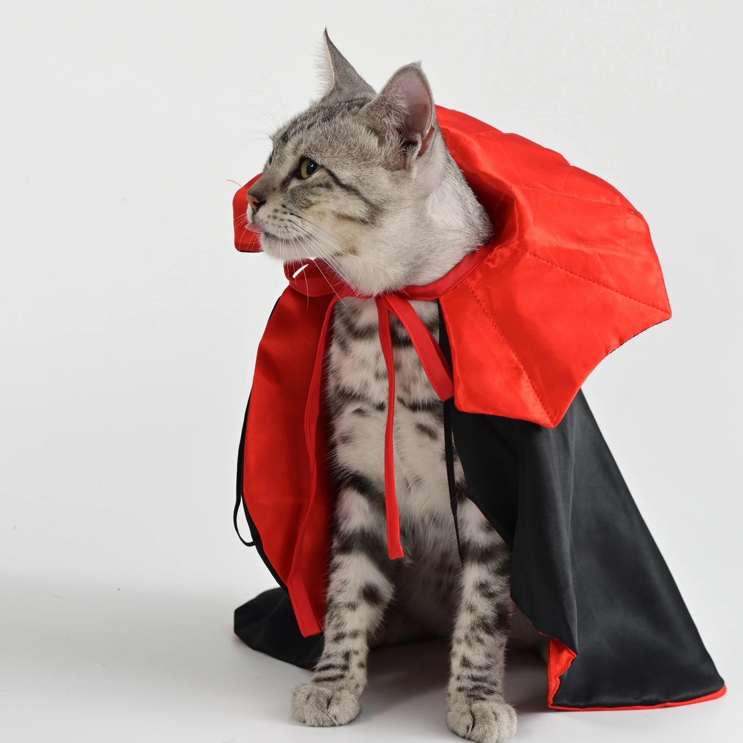Halloween Vampire Cloak Pet Costume – Nylon Cape with Strap Closure for Small & Medium Dogs and Cats