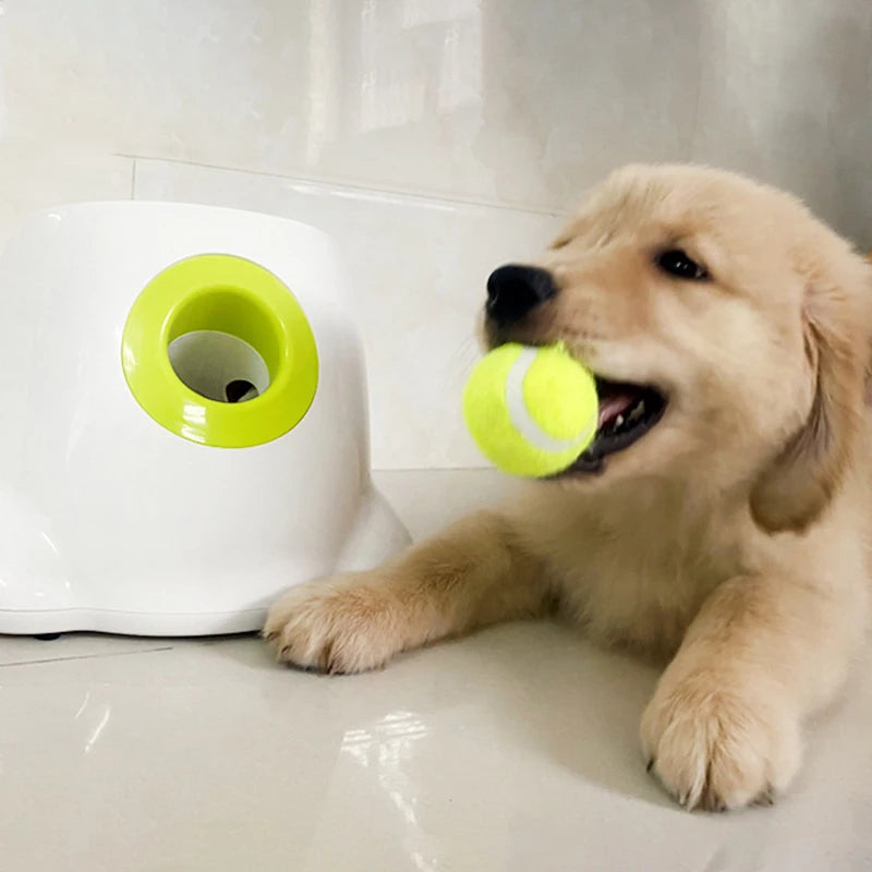 Automatic Dog Ball Launcher – Interactive Tennis Ball Throwing Toy for Dogs